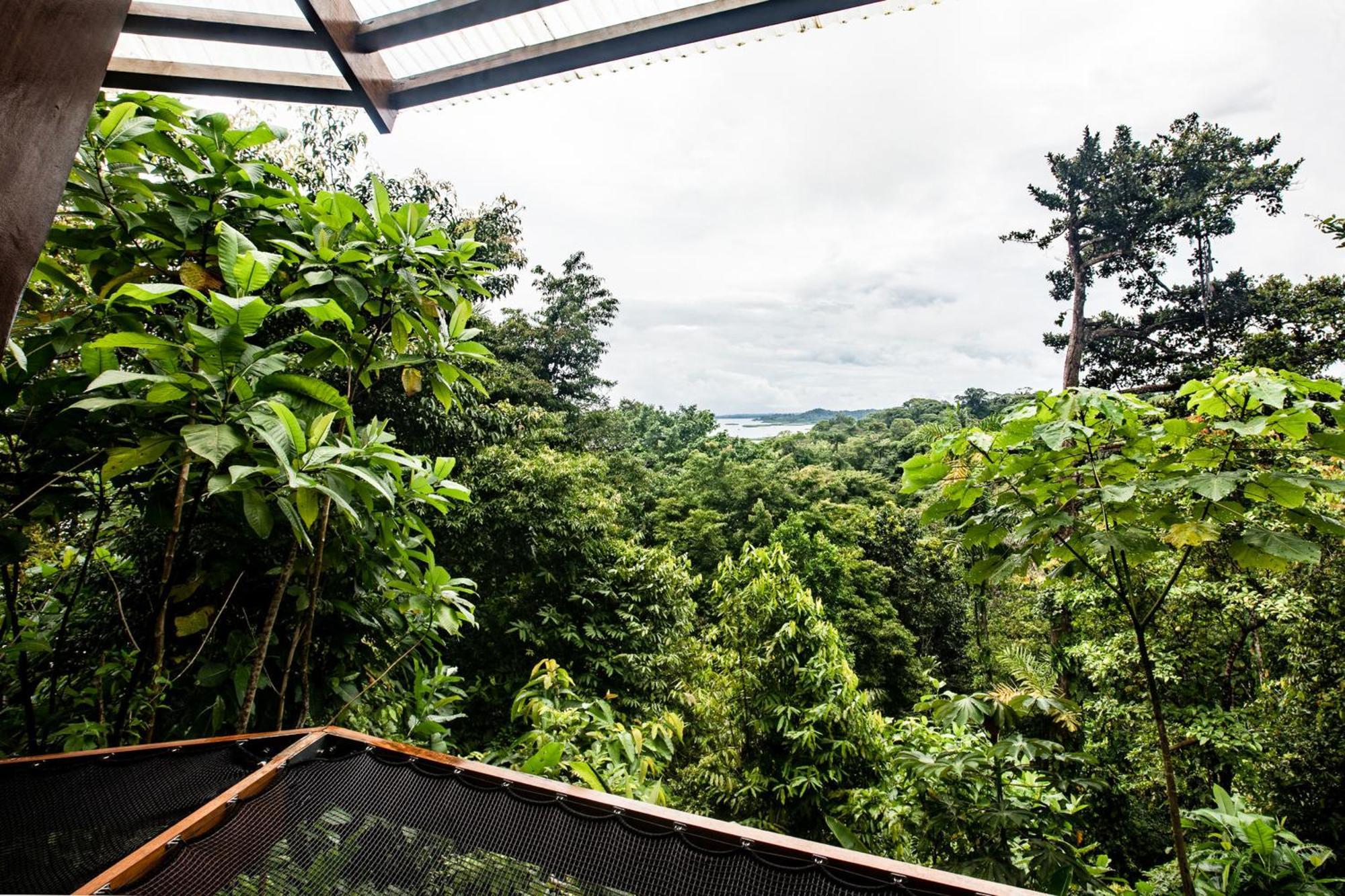 La Loma Jungle Lodge And Chocolate Farm Bocas Town Kültér fotó