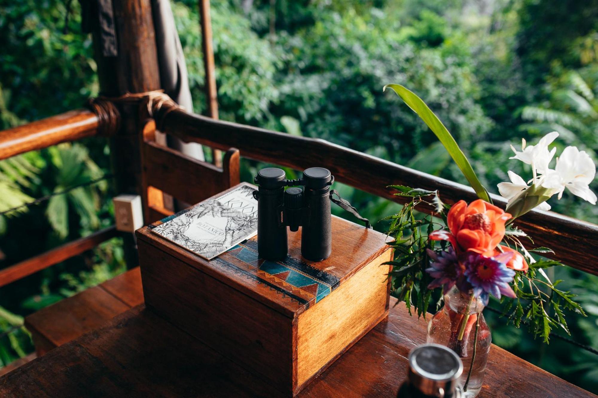 La Loma Jungle Lodge And Chocolate Farm Bocas Town Kültér fotó